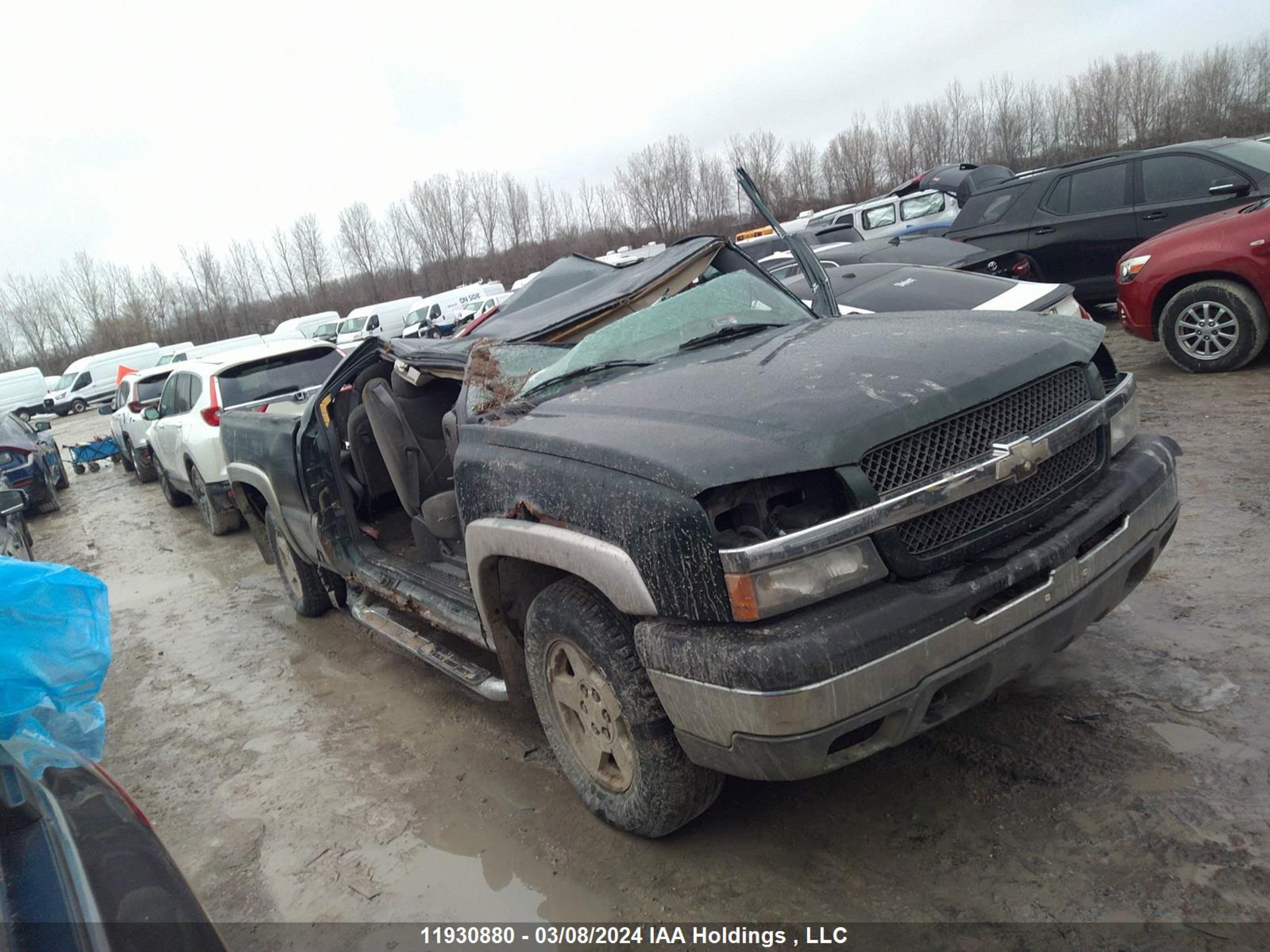 CHEVROLET SILVERADO 2004 1gcek19t04z304563