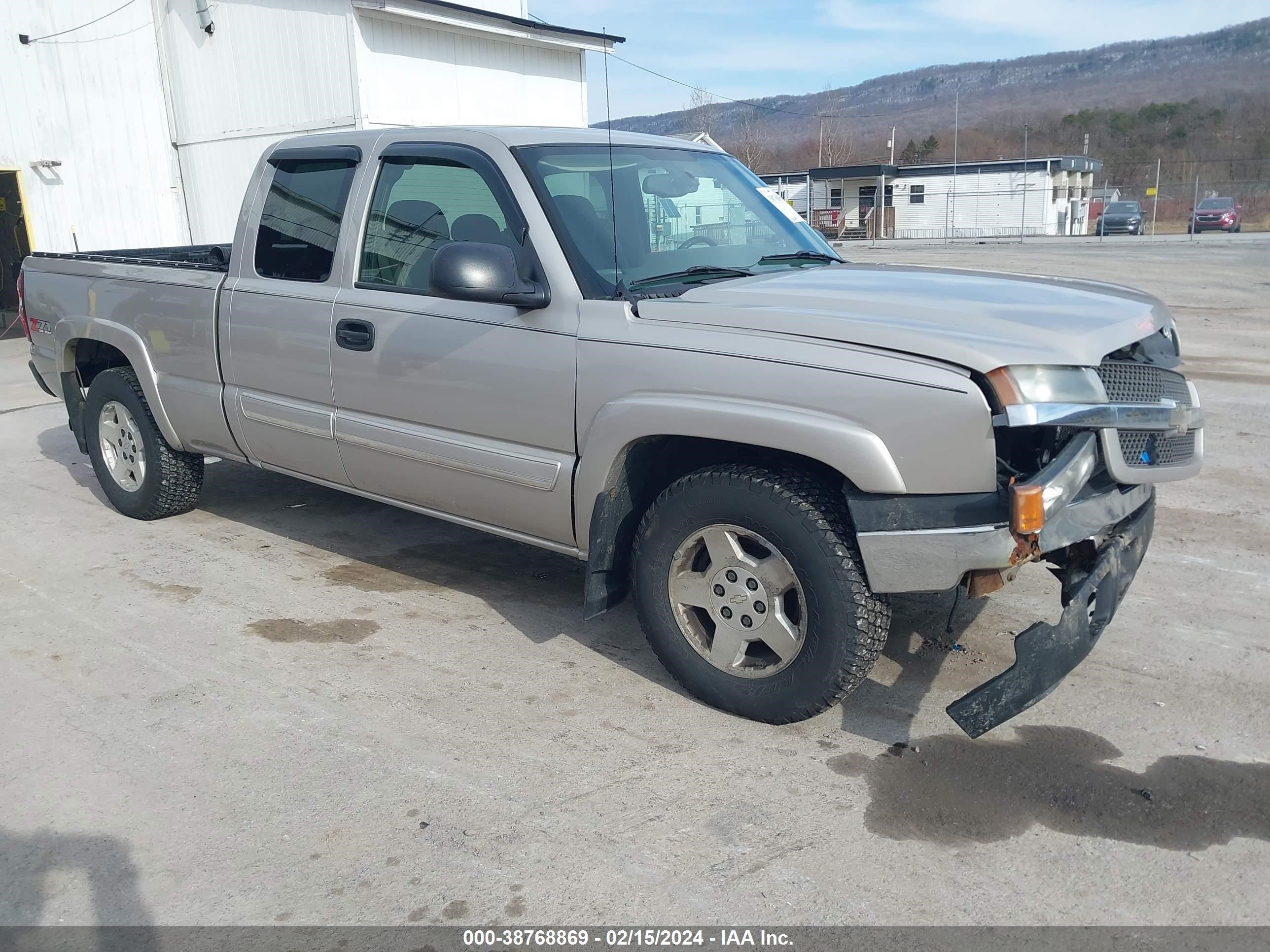 CHEVROLET SILVERADO 2005 1gcek19v75e320334