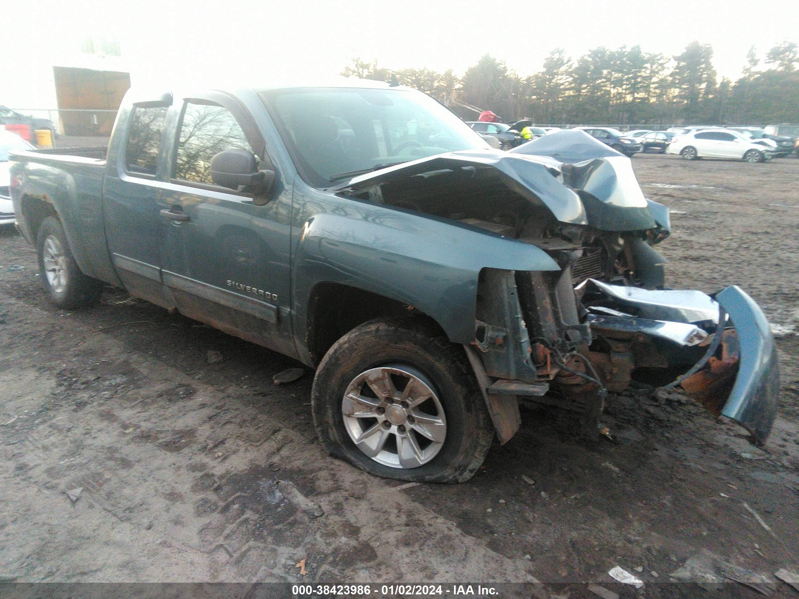 CHEVROLET SILVERADO 2009 1gcek29029z286067