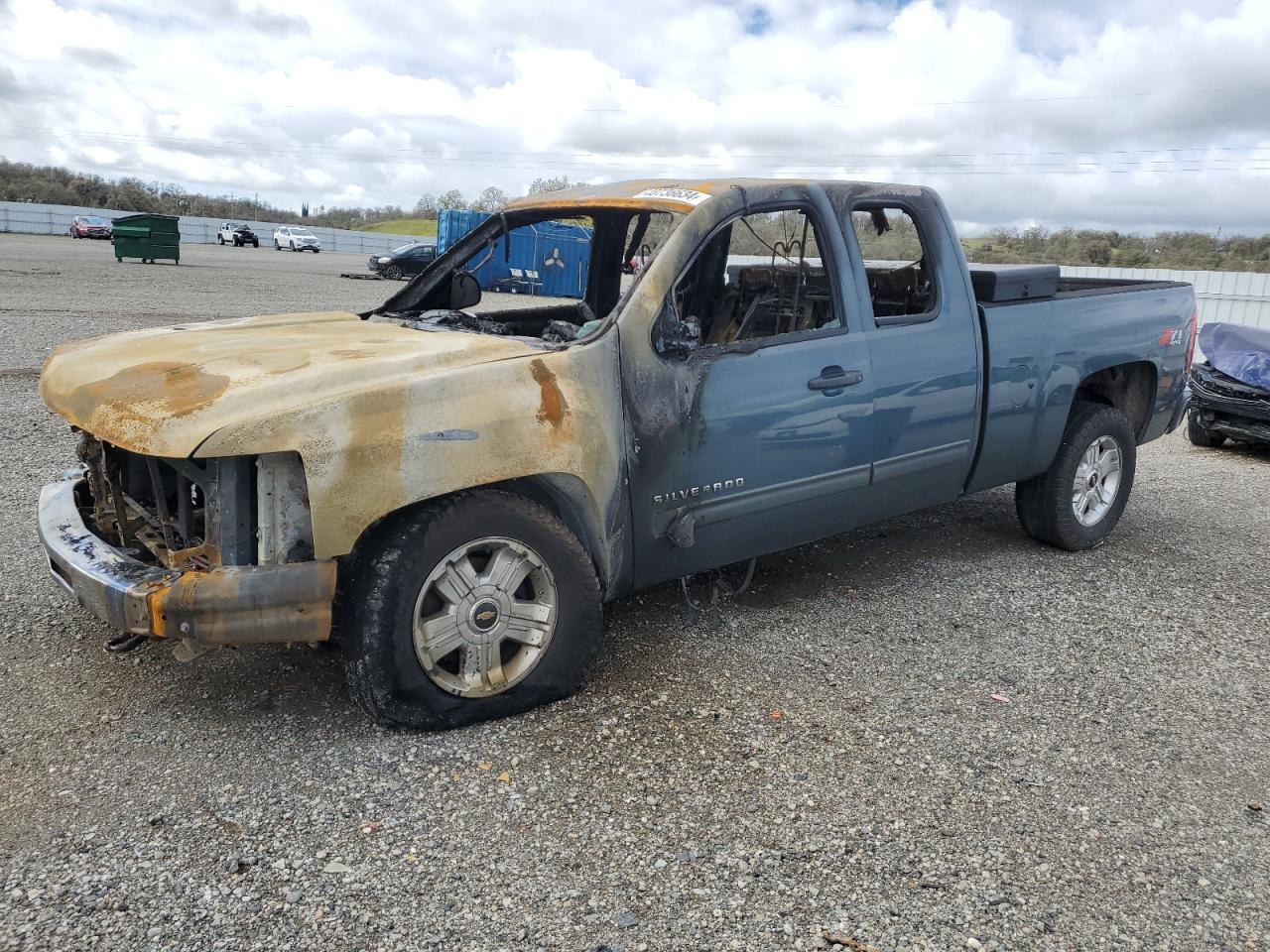 CHEVROLET SILVERADO 2009 1gcek29059z295734