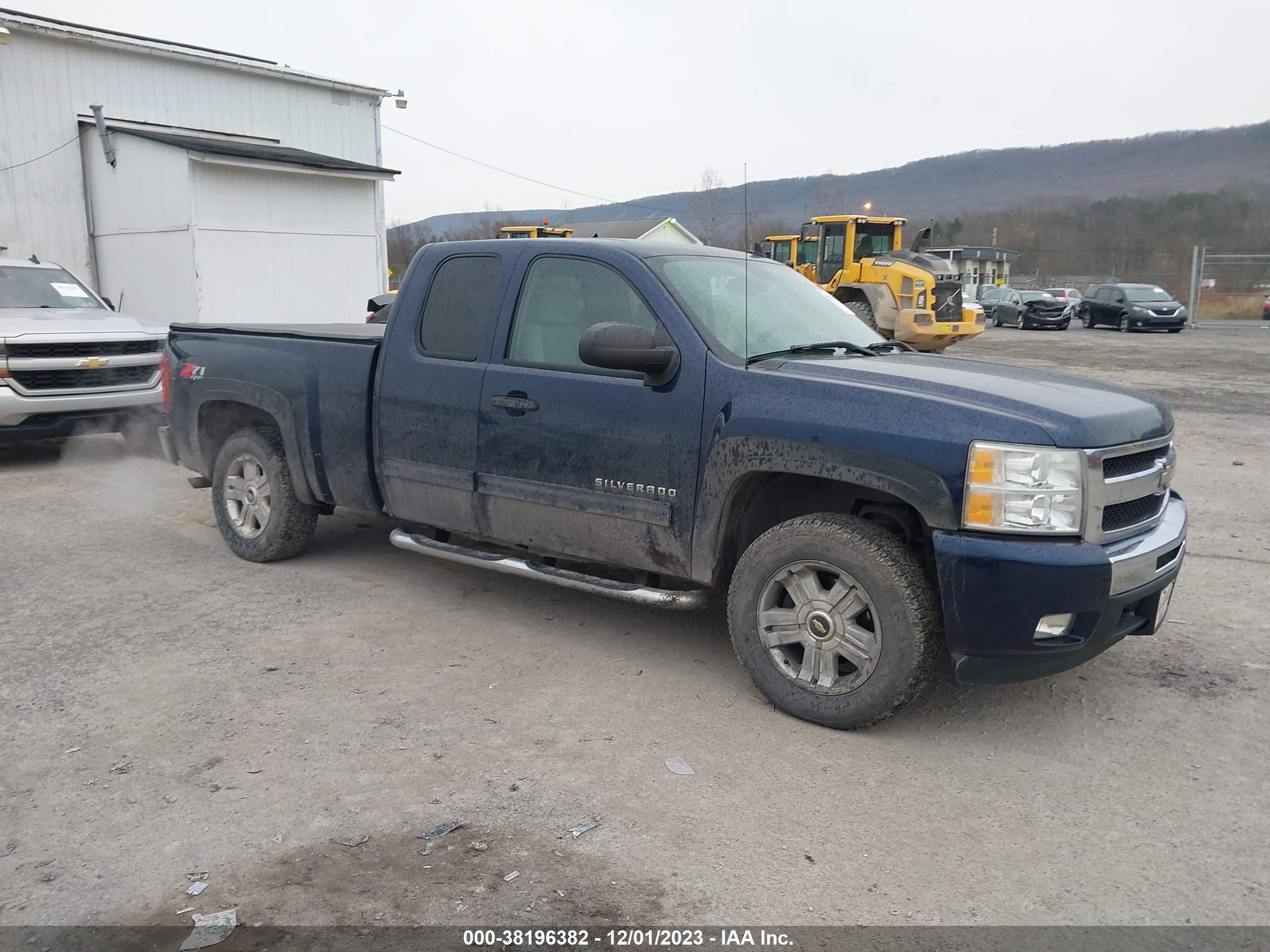 CHEVROLET SILVERADO 2009 1gcek290x9z283806