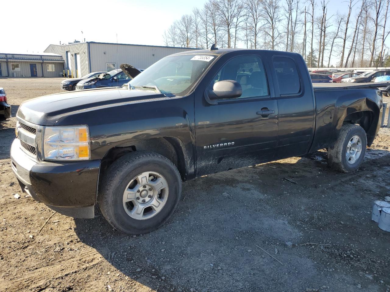 CHEVROLET SILVERADO 2009 1gcek290x9z296300