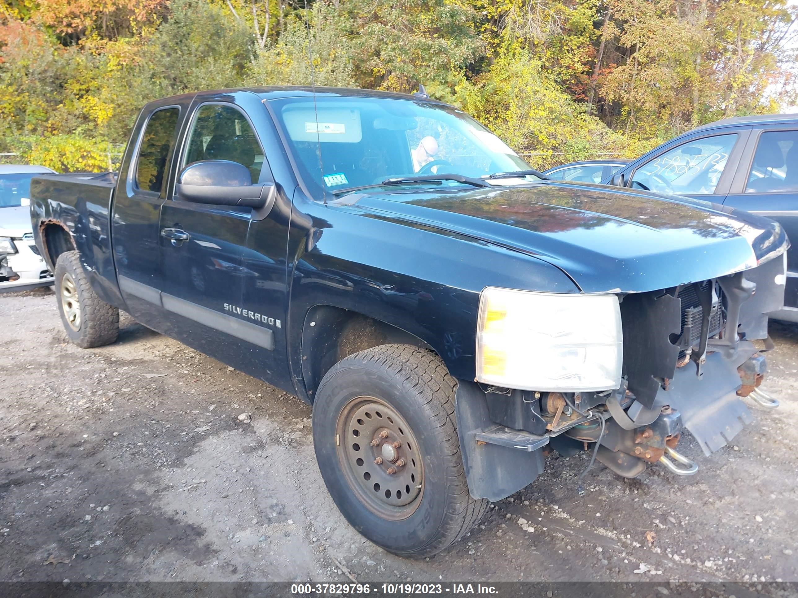 CHEVROLET SILVERADO 2009 1gcek29j19z272962