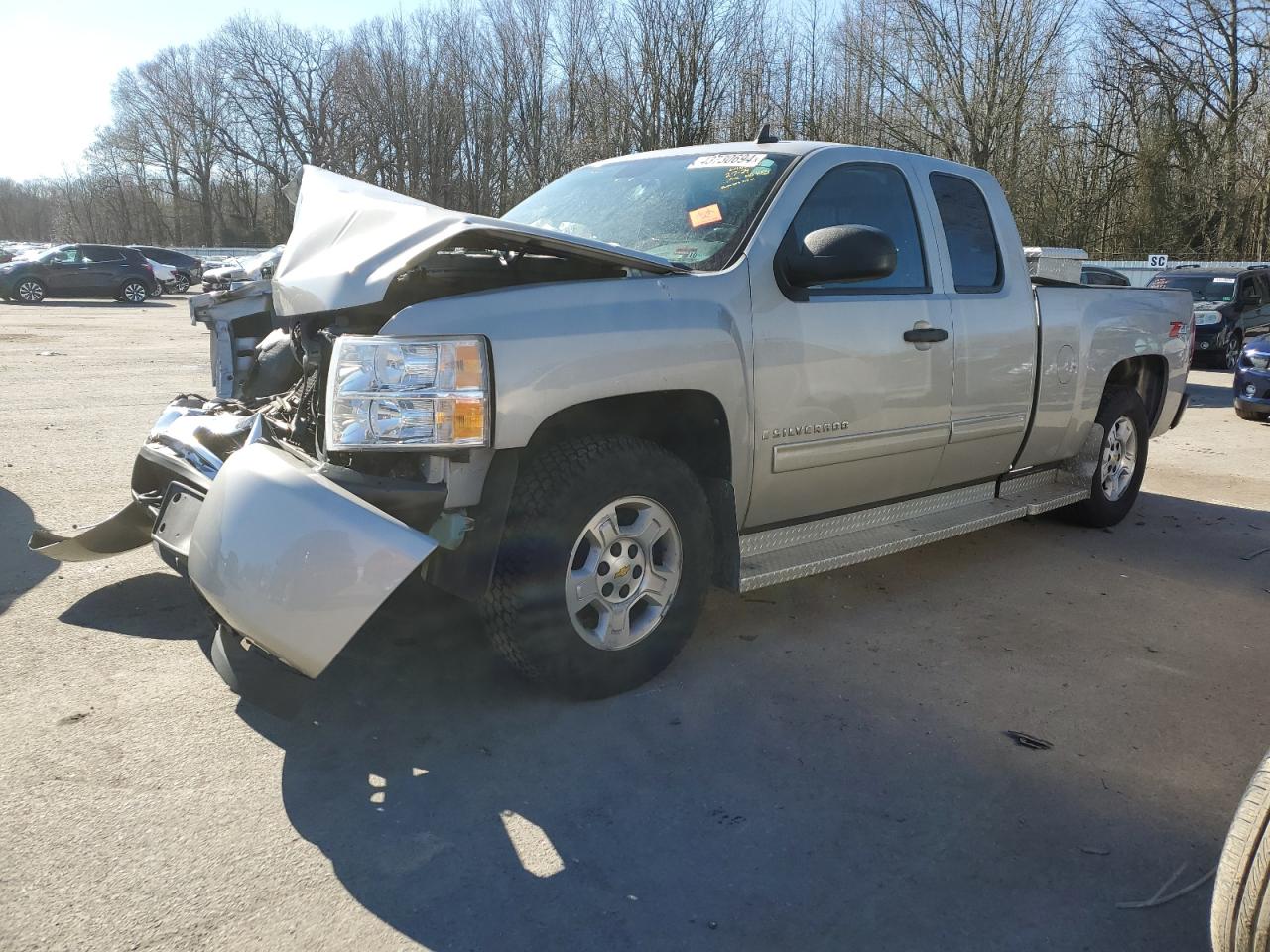 CHEVROLET SILVERADO 2009 1gcek29j39z229403