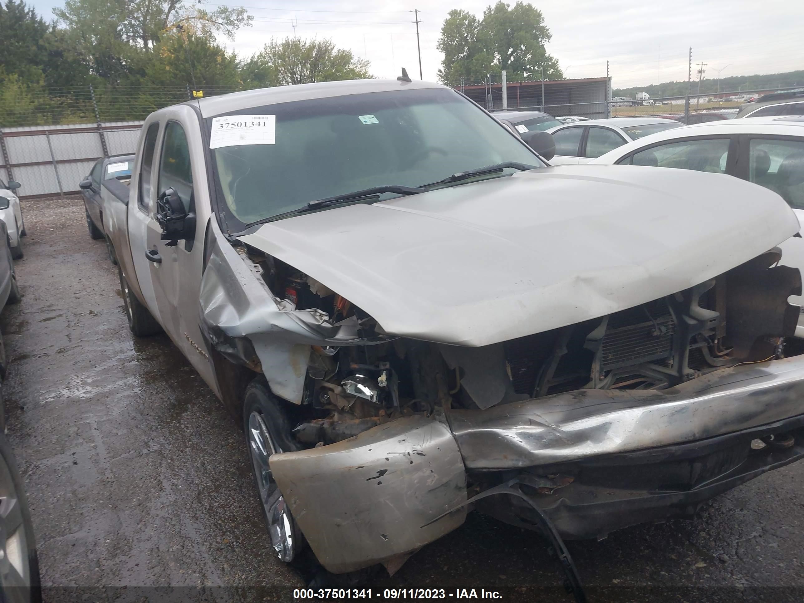 CHEVROLET SILVERADO 2009 1gcek29j99z158840