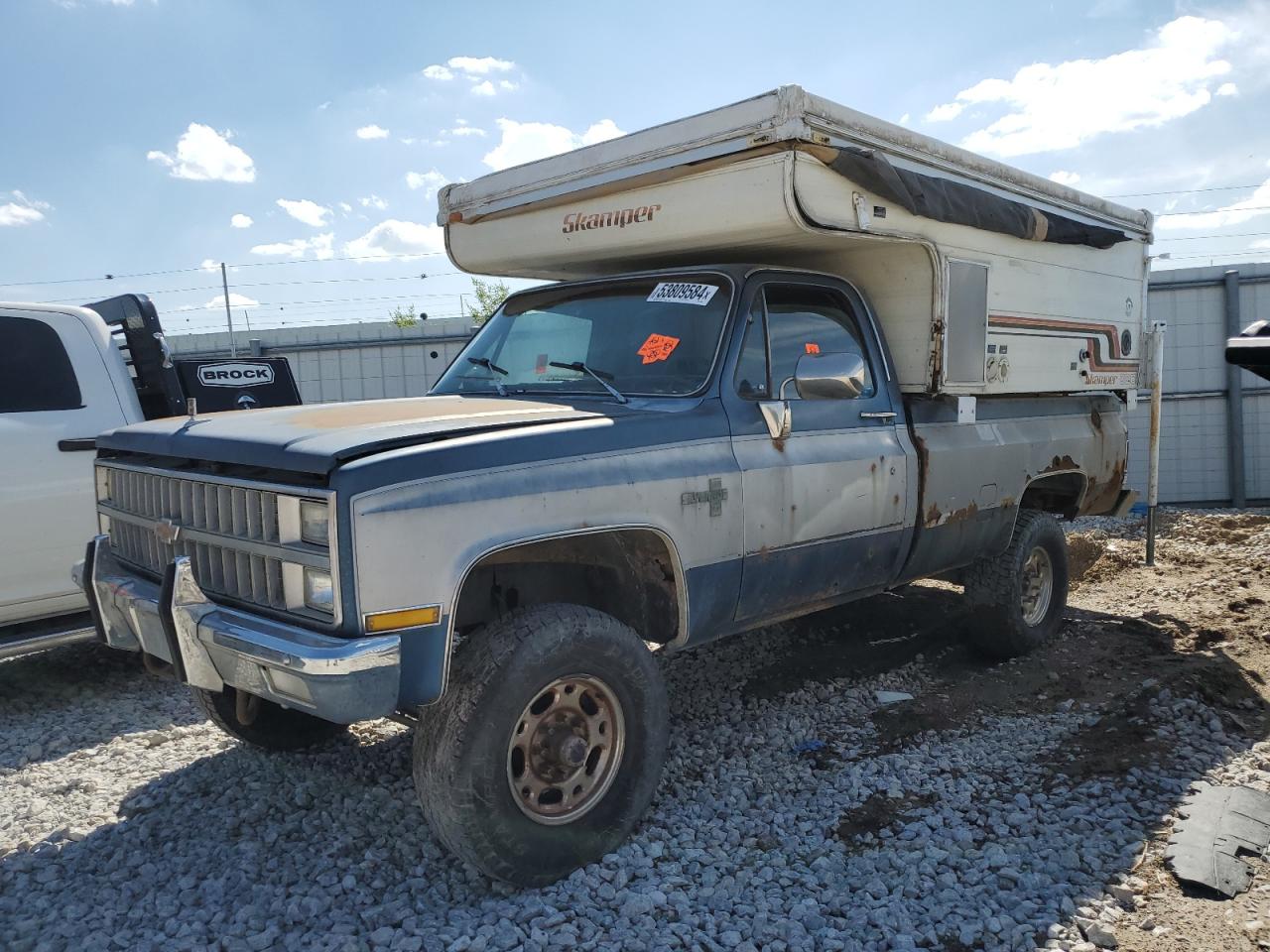 CHEVROLET SILVERADO 1981 1gcgk24m3bf392246