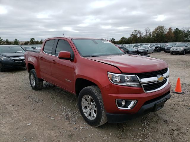 CHEVROLET COLORADO L 2016 1gcgsce38g1353765