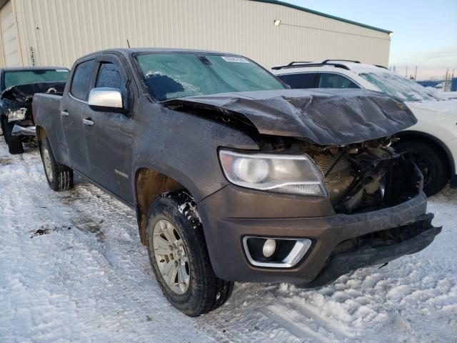 CHEVROLET COLORADO L 2015 1gcgtbe30f1154005