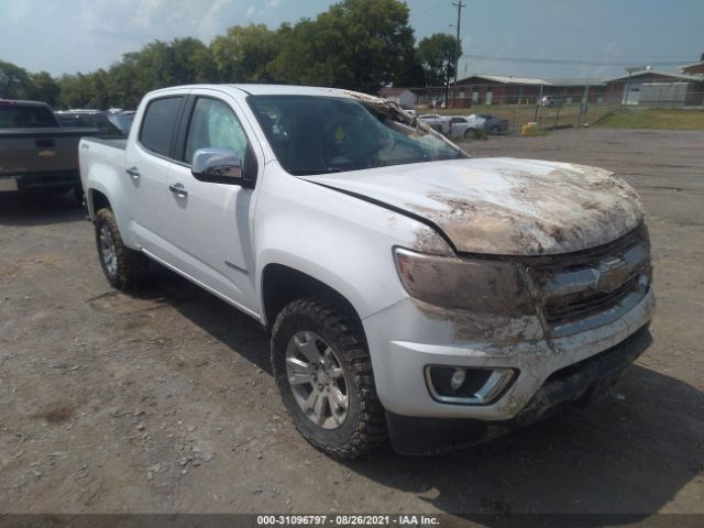 CHEVROLET COLORADO 2015 1gcgtbe33f1141734