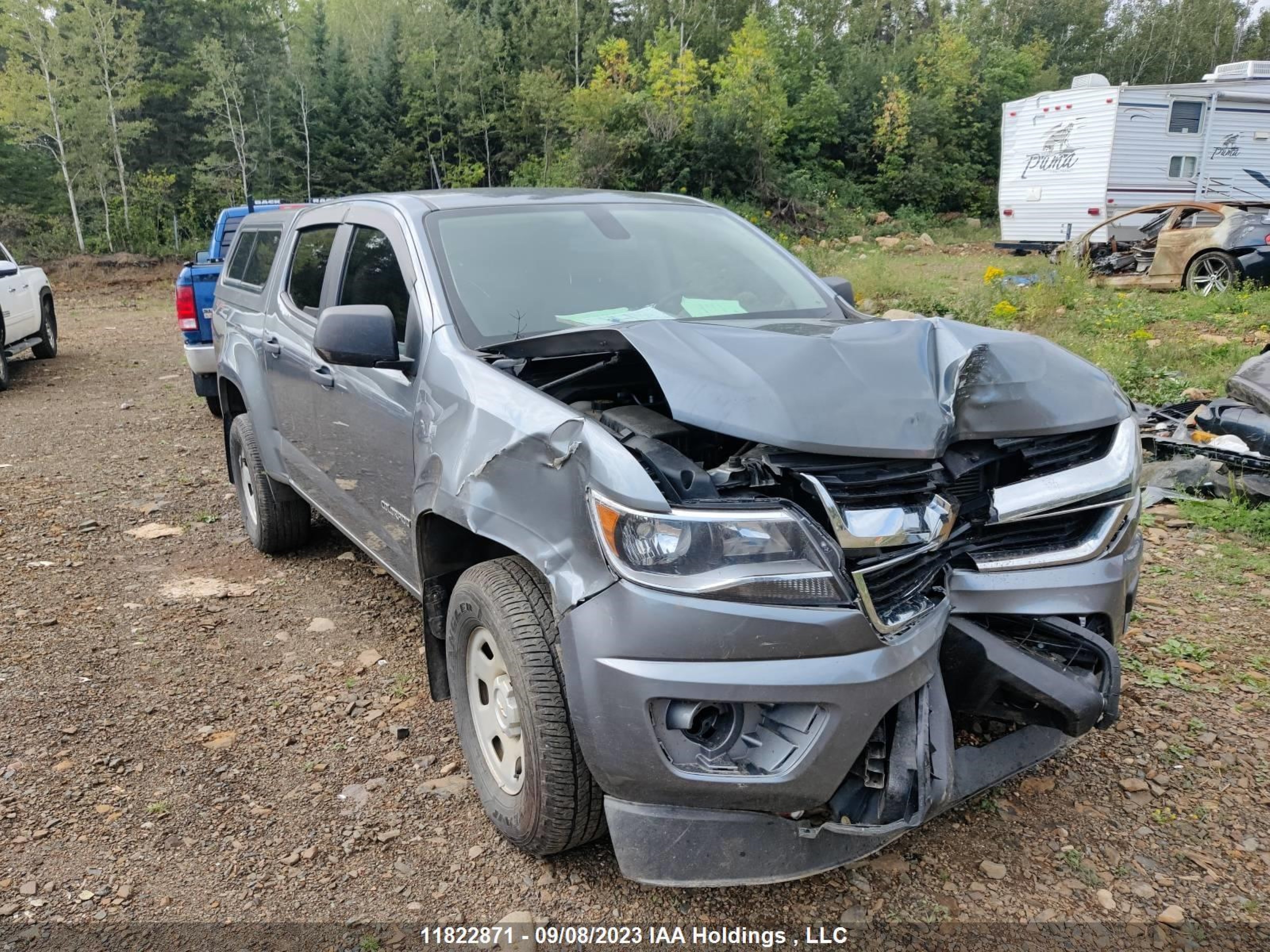 CHEVROLET COLORADO 2019 1gcgtben2k1254487