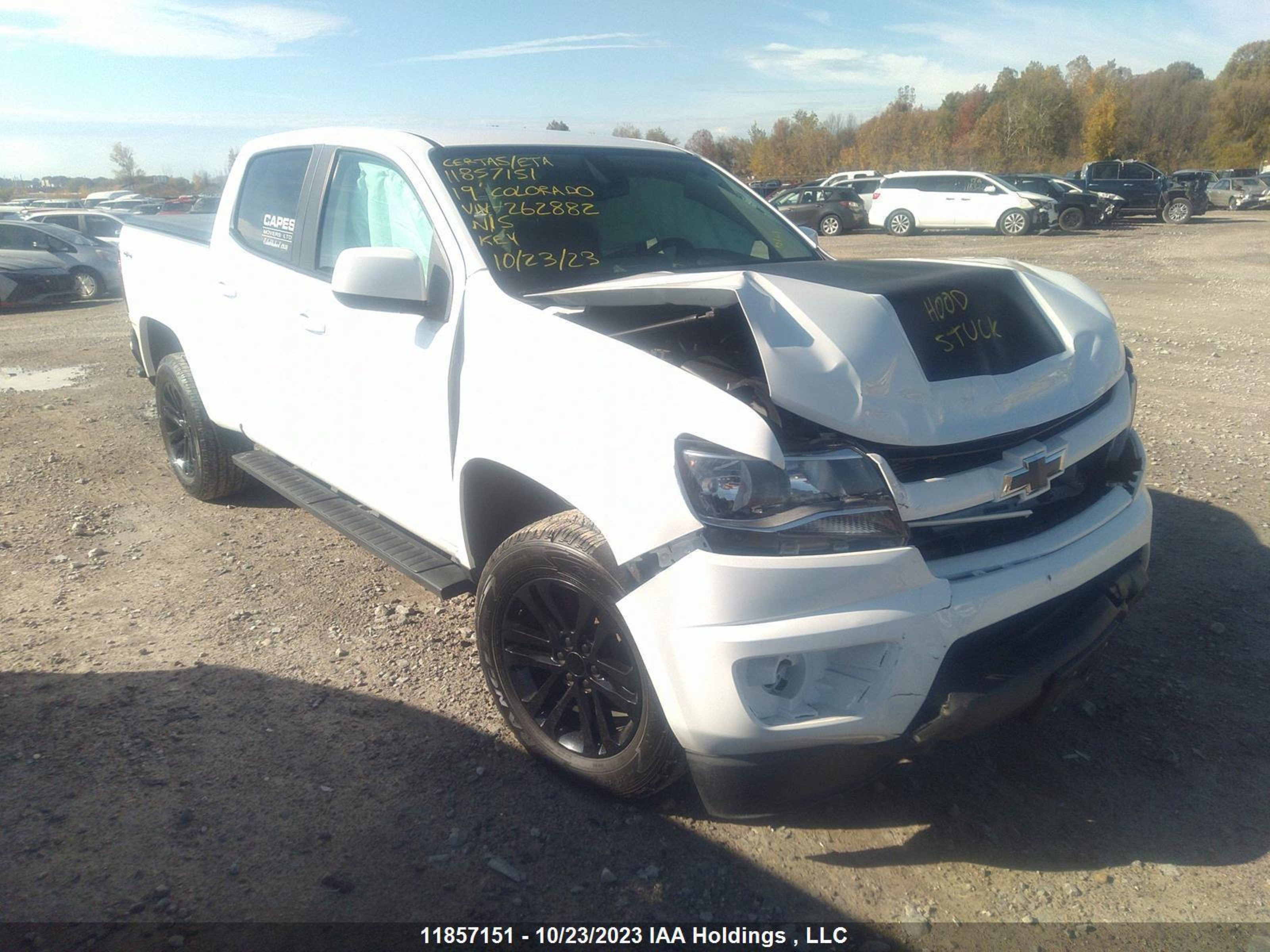 CHEVROLET COLORADO 2019 1gcgtben4k1262882