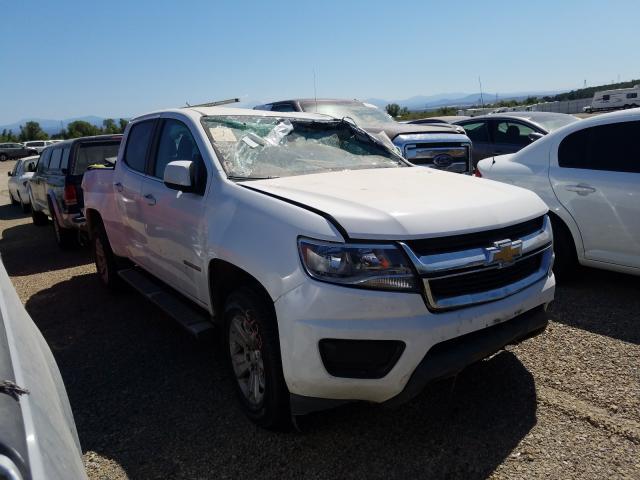 CHEVROLET COLORADO L 2016 1gcgtce39g1253543