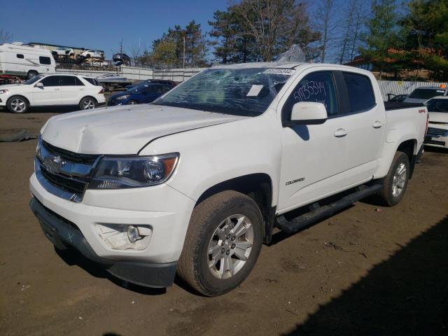 CHEVROLET COLORADO 2019 1gcgtcen5k1120143