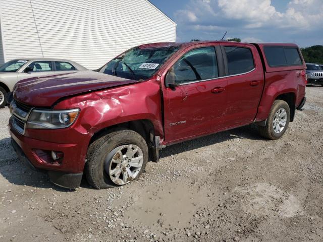 CHEVROLET COLORADO L 2018 1gcgtcen9j1142807