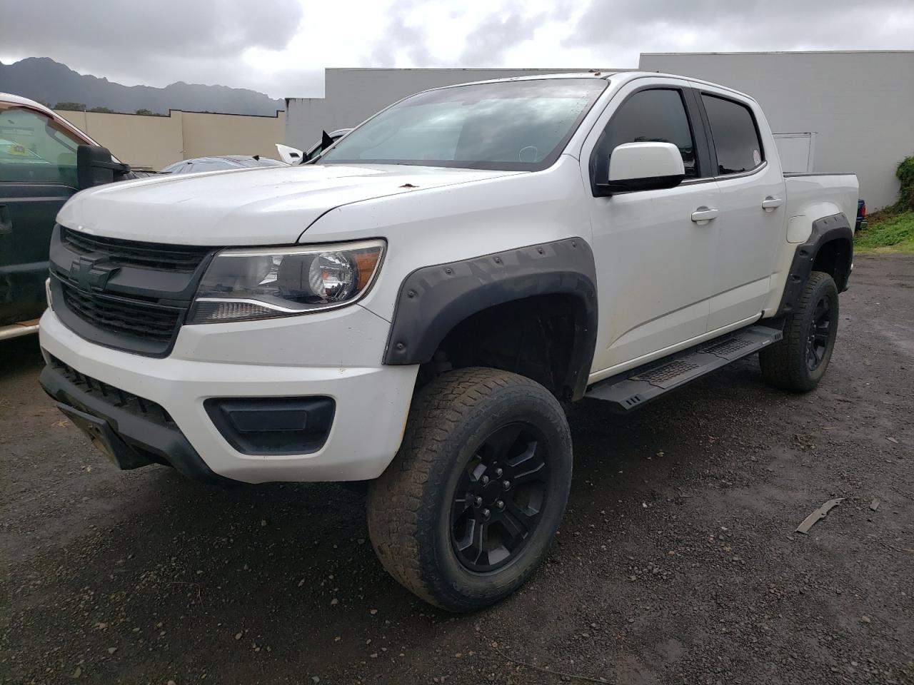 CHEVROLET COLORADO 2019 1gcgtcen9k1117309