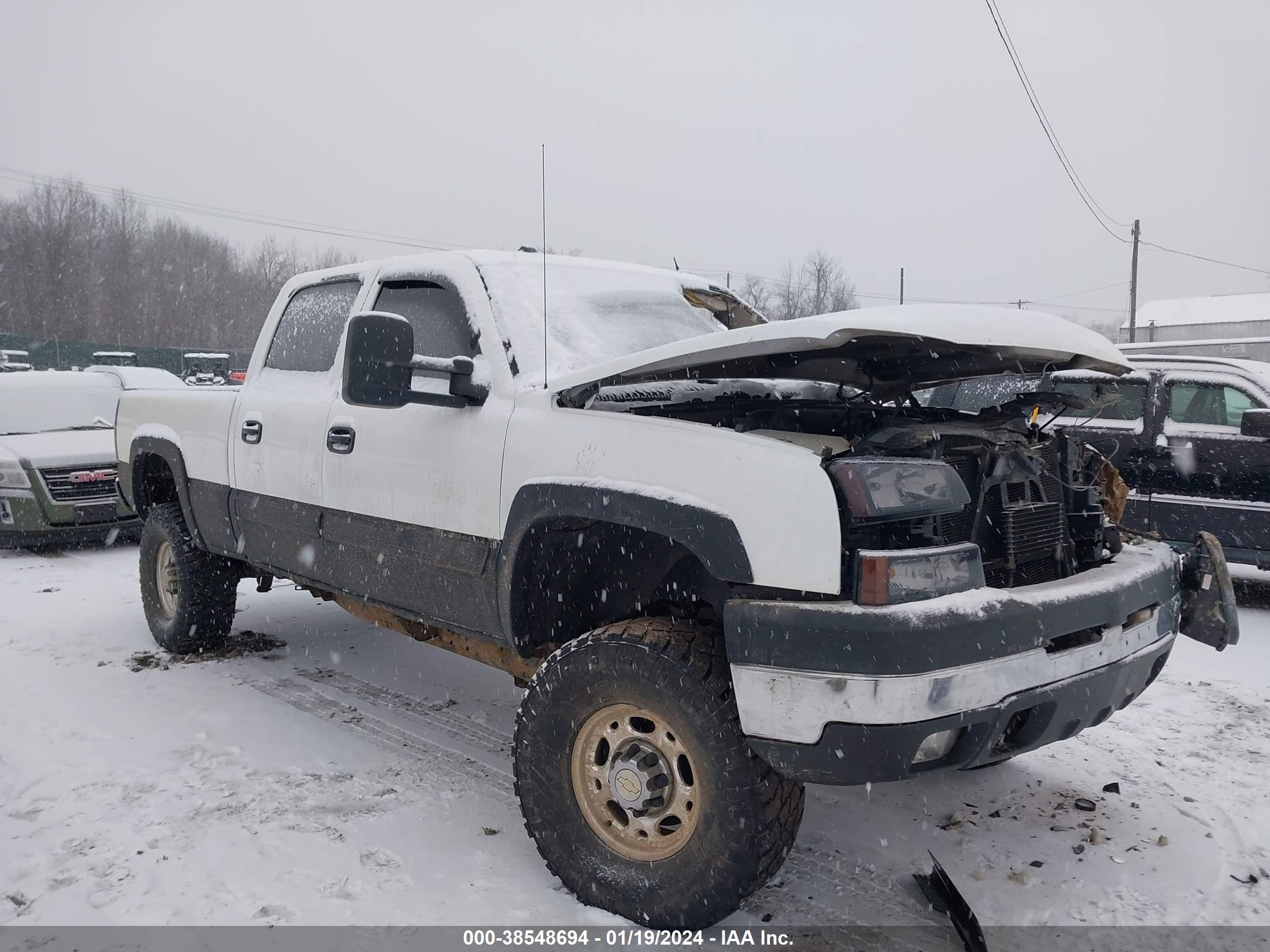 CHEVROLET SILVERADO 2005 1gchk23285f945563