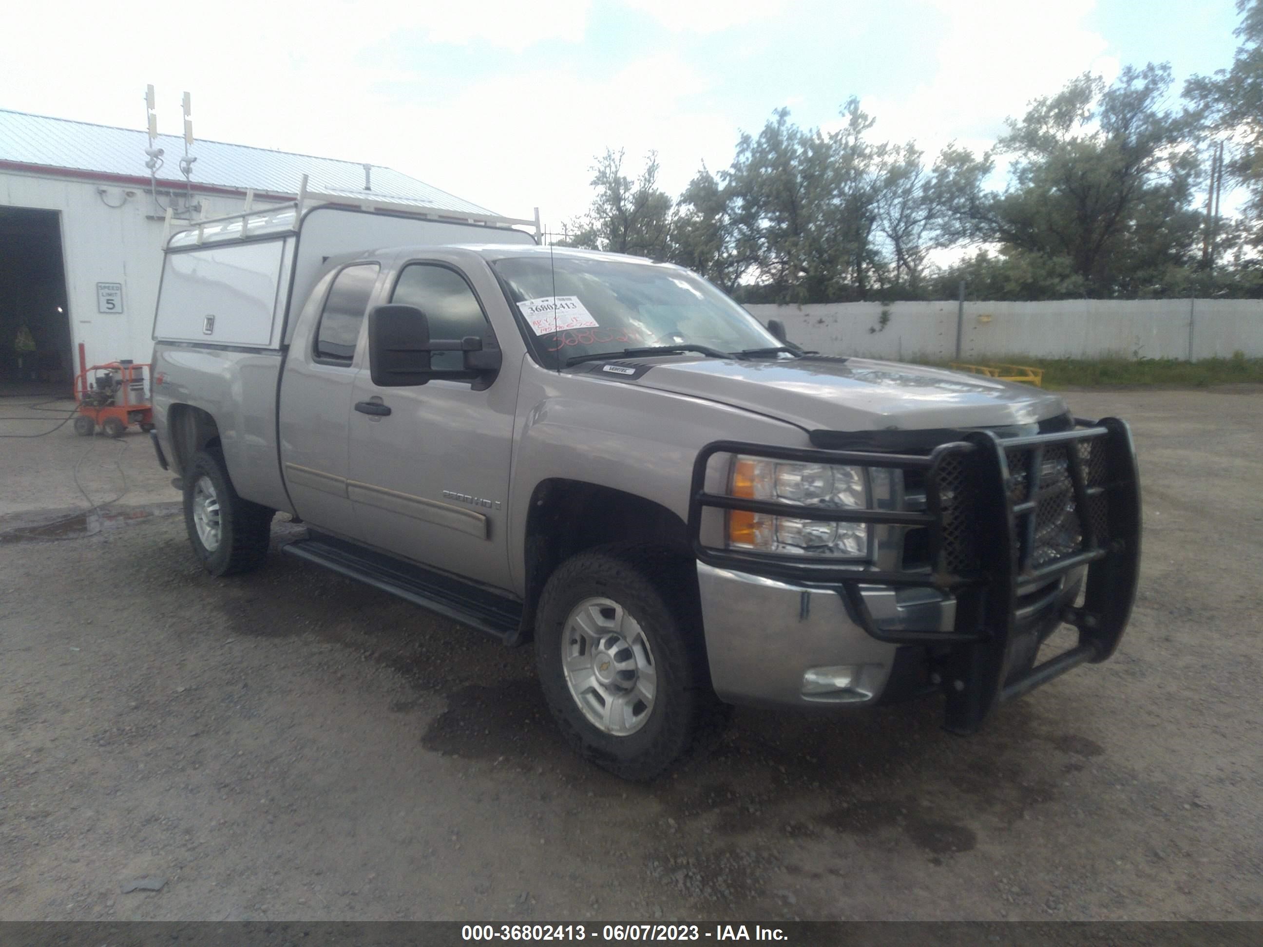 CHEVROLET SILVERADO 2009 1gchk59k09e138085