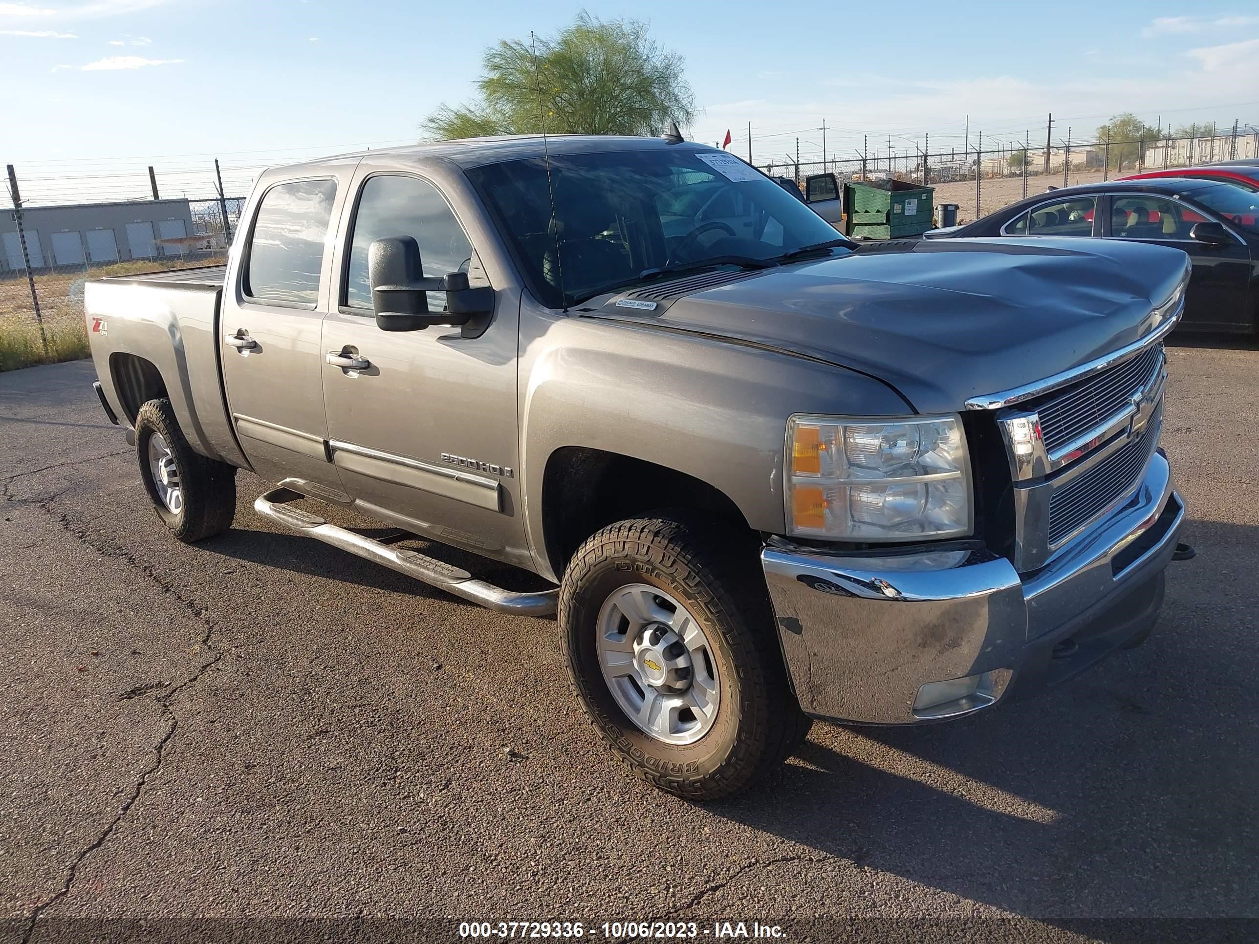 CHEVROLET SILVERADO 2009 1gchk63639f125245