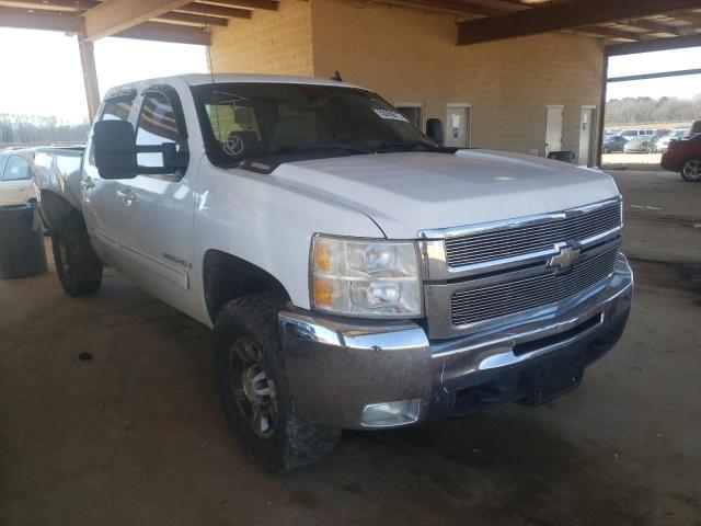 CHEVROLET SILVERADO 2009 1gchk63639f160058