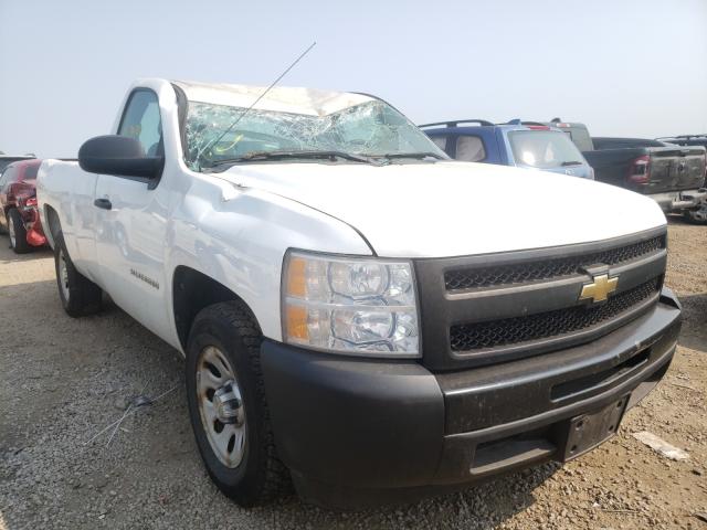 CHEVROLET SILVERADO 2011 1gcncpea5bz313051