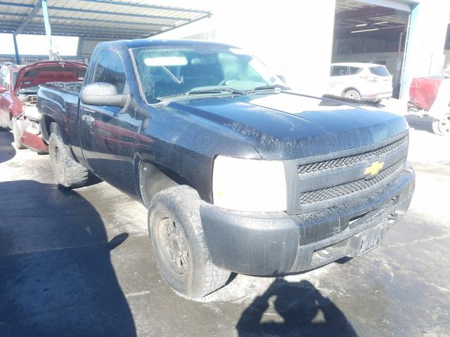 CHEVROLET SILVERADO 2011 1gcncpex2bz218631