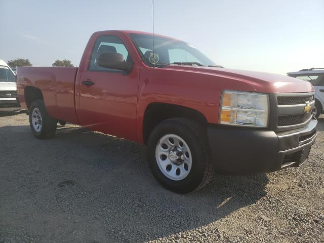 CHEVROLET SILVERADO 1500 2011 1gcncpex5bz107507