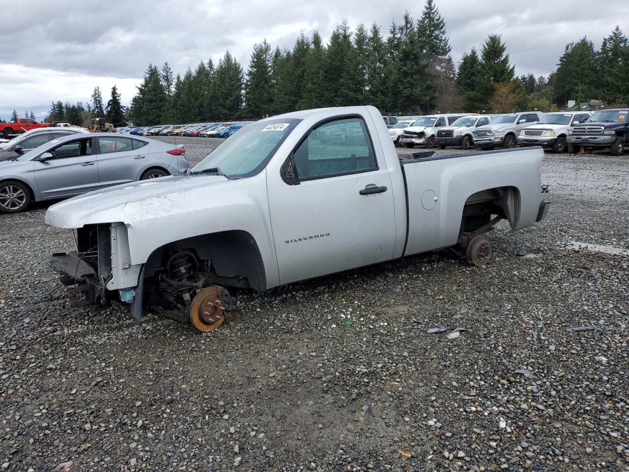 CHEVROLET SILVERADO 2011 1gcncpex6bz386997