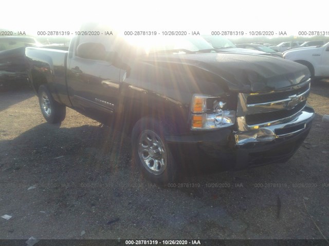 CHEVROLET SILVERADO 1500 2011 1gcncse05bz198395