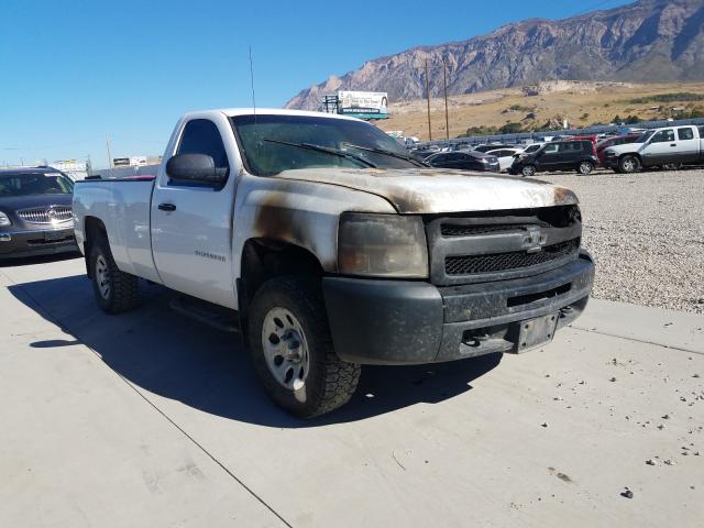 CHEVROLET SILVERADO 2011 1gcnkpe00bz324873