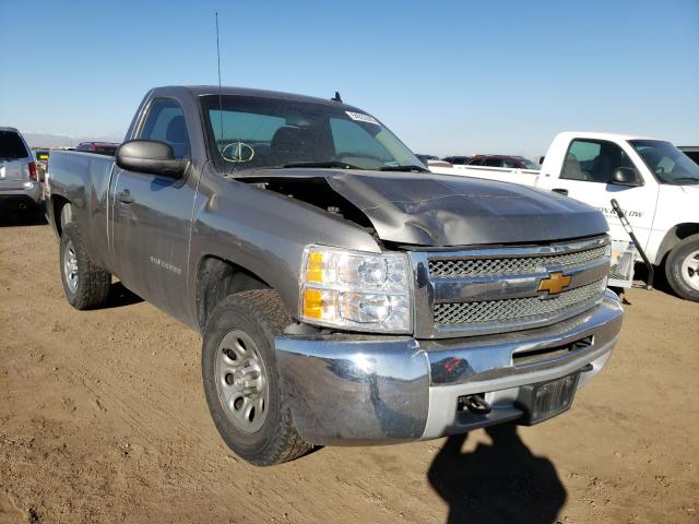 CHEVROLET SILVERADO 2013 1gcnkpe02dz119350