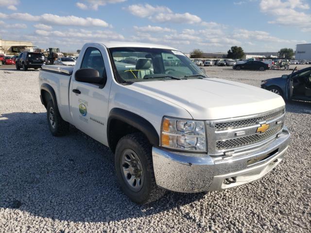 CHEVROLET SILVERADO 2013 1gcnkpea0dz265335