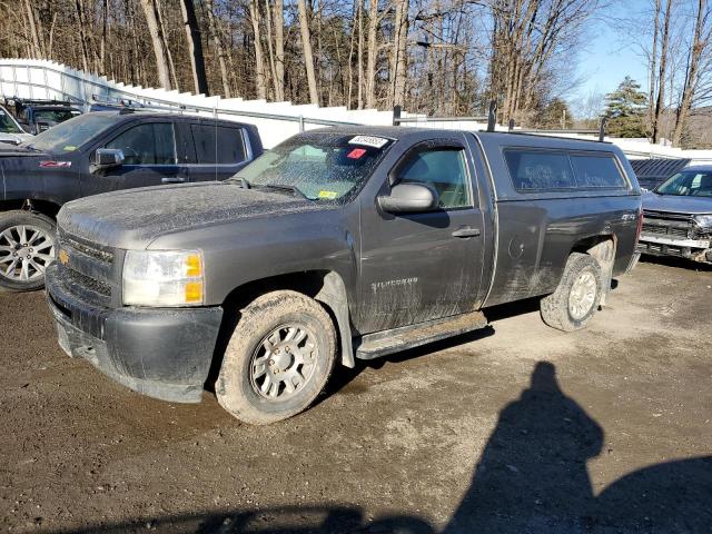 CHEVROLET SILVERADO 2013 1gcnkpex0dz132336