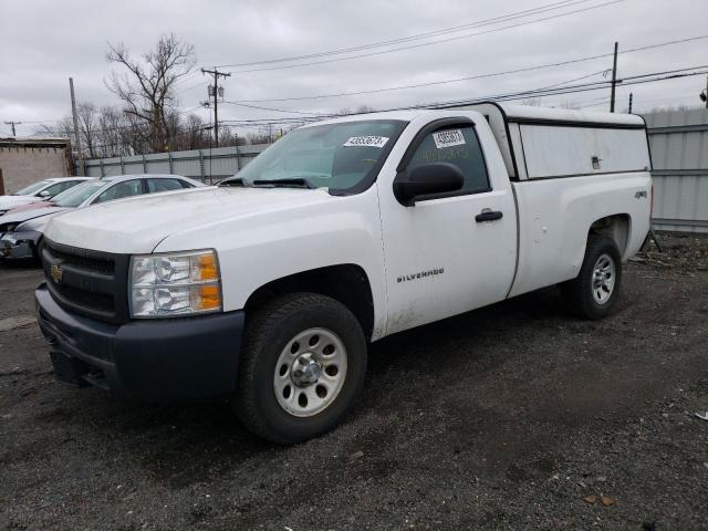 CHEVROLET SILVERADO 2011 1gcnkpex1bz220146