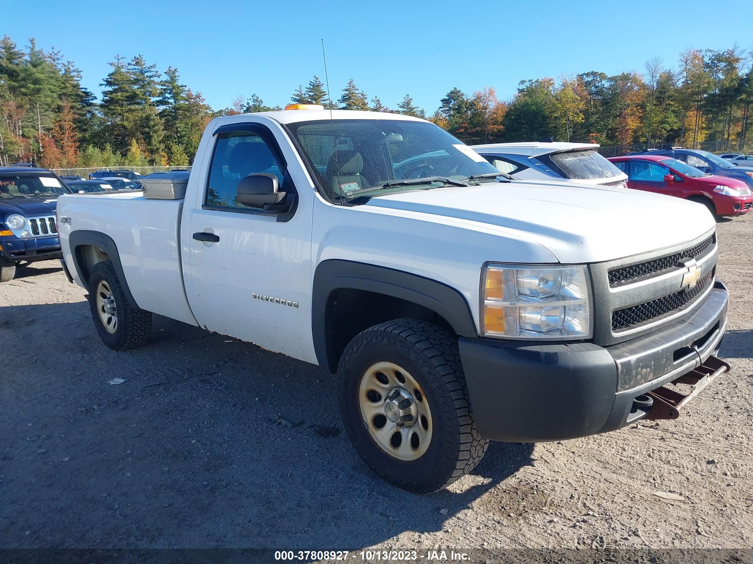 CHEVROLET SILVERADO 2011 1gcnkpex6bz116106