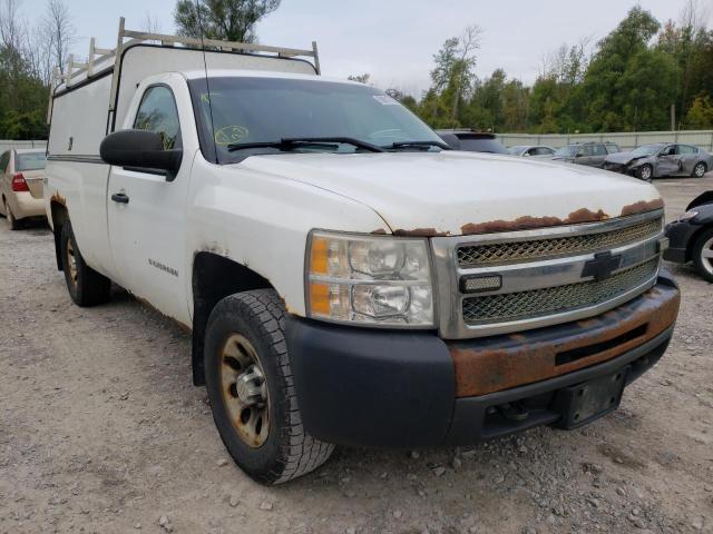 CHEVROLET SILVERADO 2011 1gcnkpex7bz161989