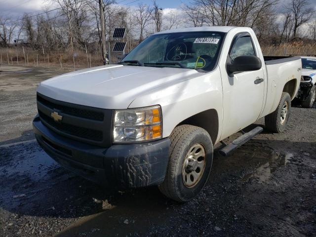 CHEVROLET SILVERADO 2011 1gcnkpex7bz344955