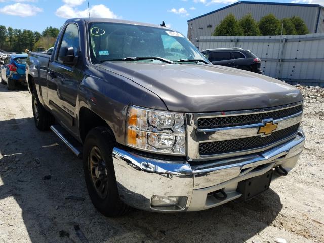 CHEVROLET 1500 SILVE 2013 1gcnkse00dz195698