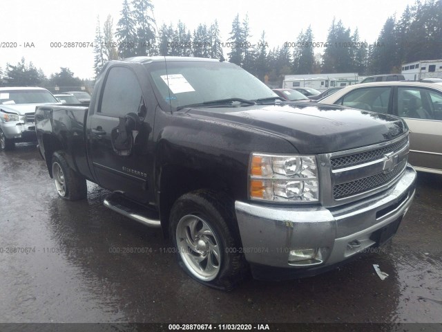 CHEVROLET SILVERADO 1500 2013 1gcnkse01dz140869