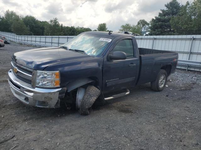 CHEVROLET SILVERADO 2012 1gcnkse02cz236346