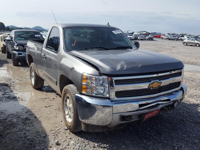 CHEVROLET SILVERADO 2013 1gcnkse08dz170919