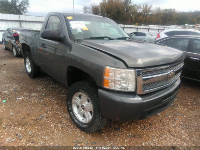 CHEVROLET SILVERADO 1500 2011 1gcnkse0xbz172832