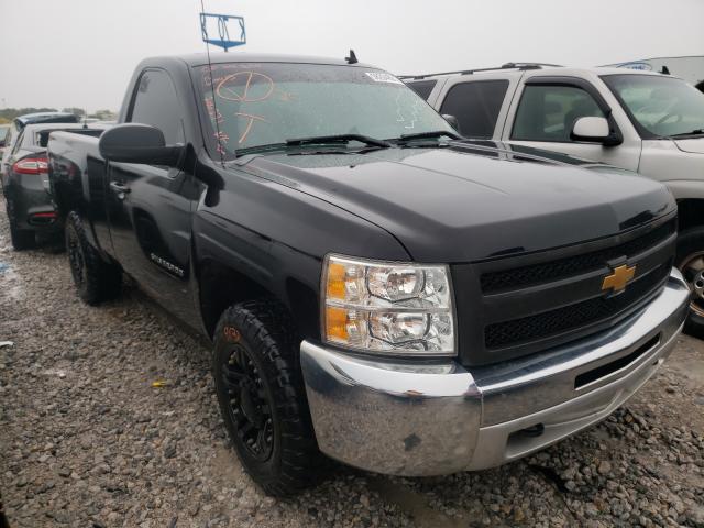 CHEVROLET SILVERADO 2013 1gcnksea9dz206271