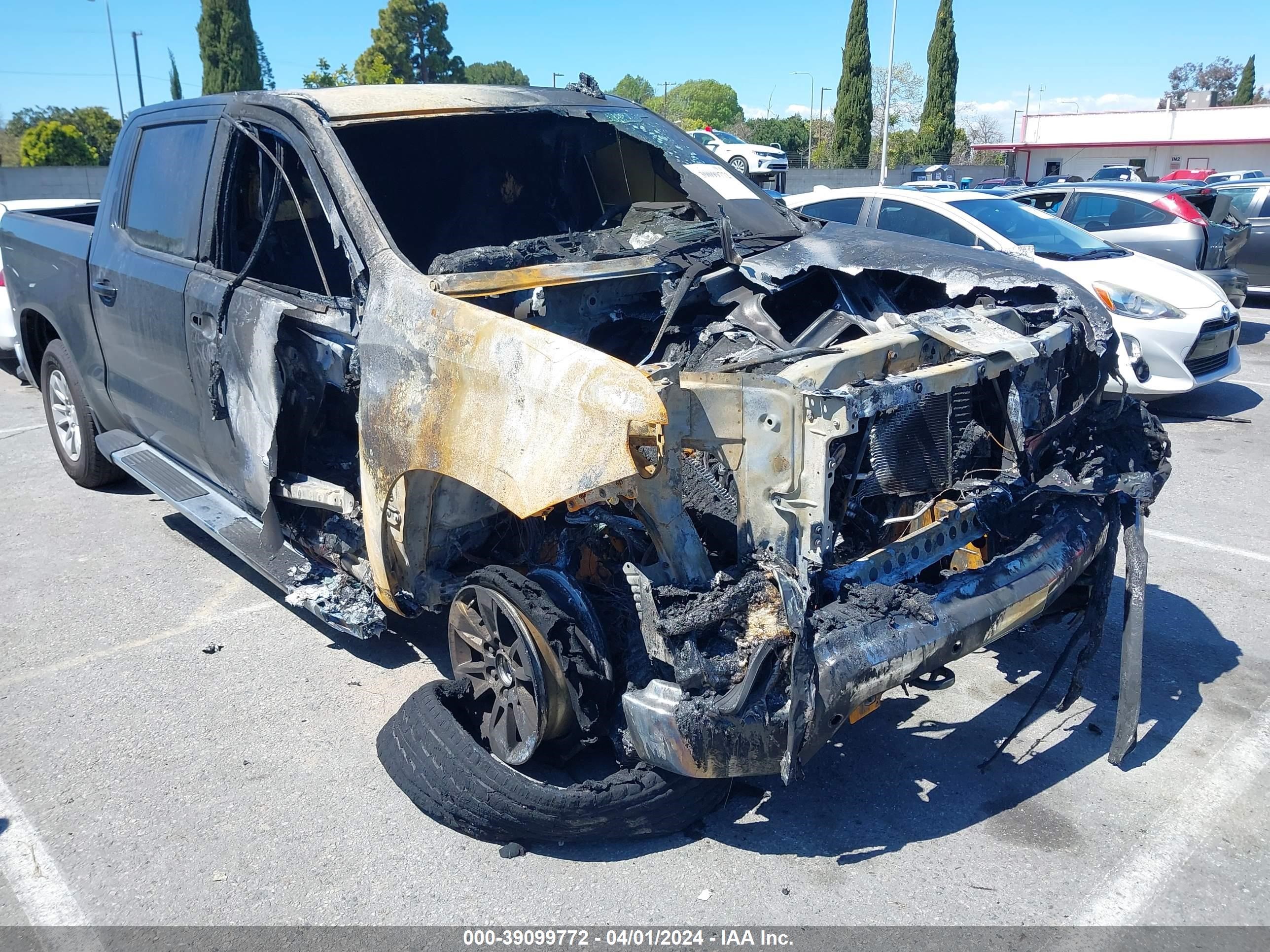 CHEVROLET SILVERADO 2024 1gcpacedxrz163899