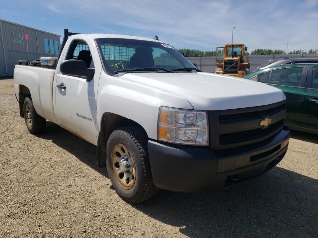 CHEVROLET SILVERADO 2010 1gcpcpea6az230574