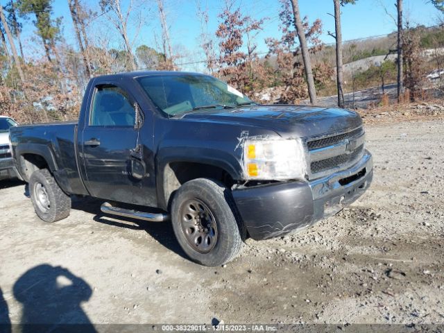 CHEVROLET SILVERADO 1500 2010 1gcpcpex0az190772