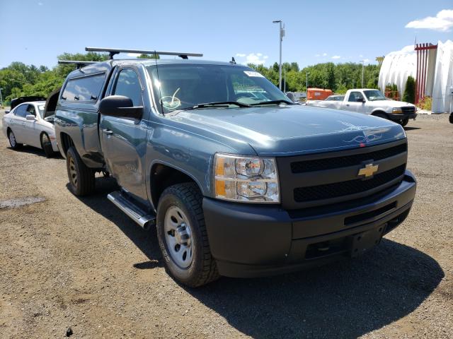 CHEVROLET SILVERADO 2010 1gcpkpe00az218138