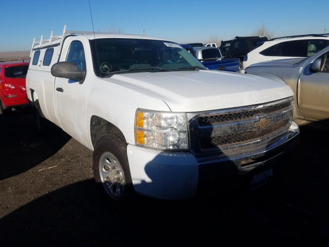 CHEVROLET SILVERADO 2010 1gcpkpex0az193254