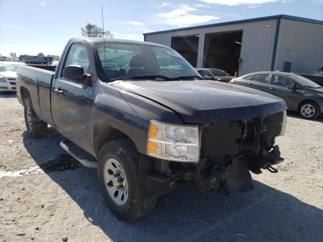 CHEVROLET SILVERADO 2010 1gcpkpex2az195393