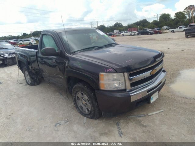 CHEVROLET SILVERADO 1500 2010 1gcpkpex9az288055