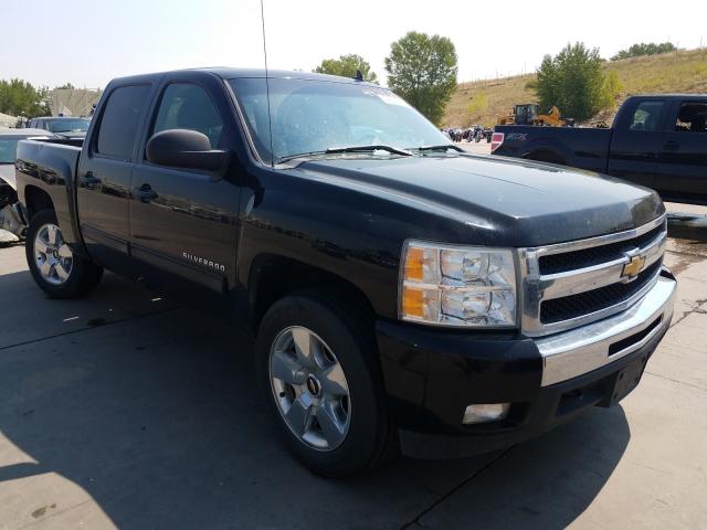 CHEVROLET SILVERADO 2011 1gcpkse35bf143596